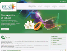 Tablet Screenshot of erini-institute.com